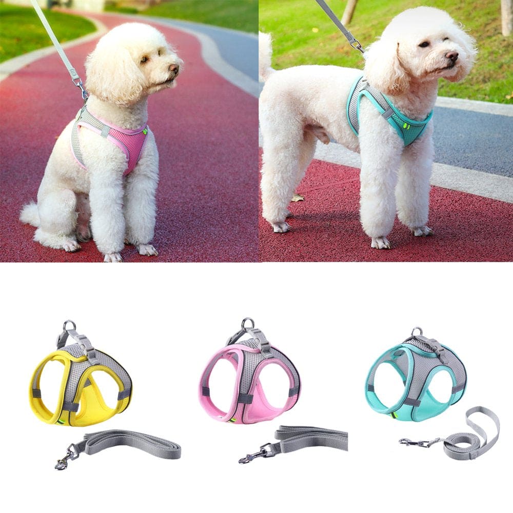 Dog Harness with Leash and Collar Set Breathable Mesh Dog Walking Harness Pet Lead Harness for X-Small and Small Size Dog Wearing