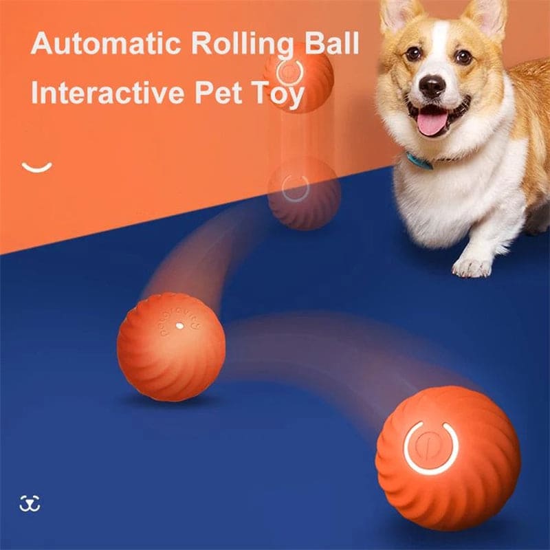 JELIEPET Automatic Rolling Cat Ball Toy Smart Kitten Electric Toy Self Moving Dog Training Pet Kitten Interactive Toy for Indoor Playing